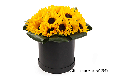 ����� � ������������ ��������� ������ � ������� �������