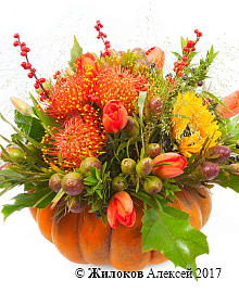 ���������� ��������� ��� � �����