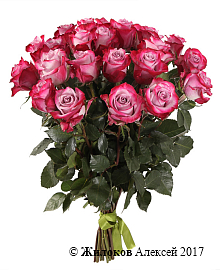 ����� 21 ���� ��� �����