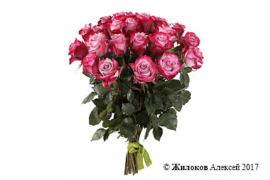 ����� 21 ���� ��� �����