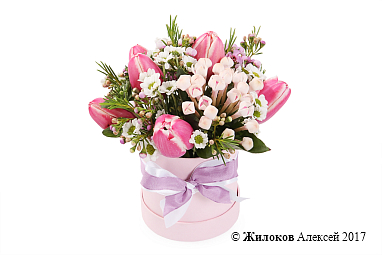 ����� �������� ������� � ������� �������