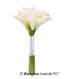 ����� �� ���� ����������