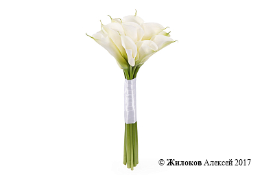 ����� �� ���� ����������