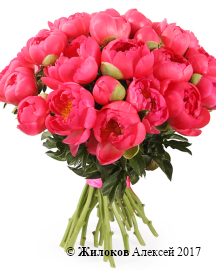 ����� �� ������ ������