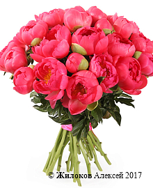 ����� �� ������ ������