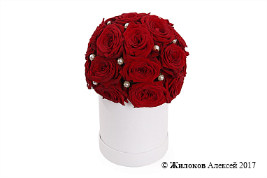 ����� ������ ������ � ������� �������