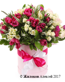 ����� �������� ������ ������� �������