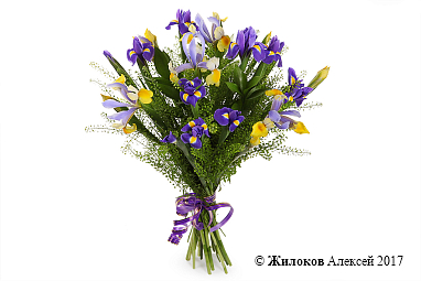 ����� � ������� �� ������