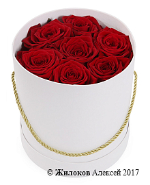 ����� 7 ��� � ������� ������� (�����)