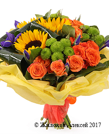 ����� ������ �� ������