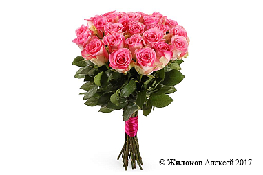 ����� 25 ��� ������