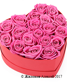 ����� ��������� ������ � ������� ������� ������ (����)