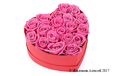 ����� ��������� ������ � ������� ������� ������ (����)