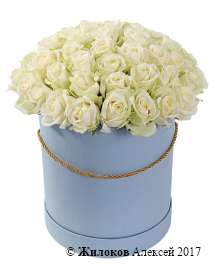 ����� 51 ���� ������� � ������� �������