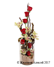 ����� ������������ ������� � ����