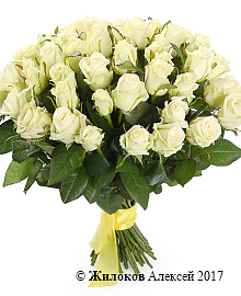 ����� 51 ���� ��������, 50 ��