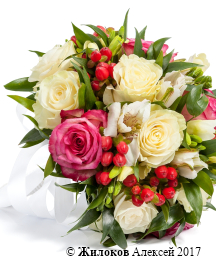 ����� ������� ��������