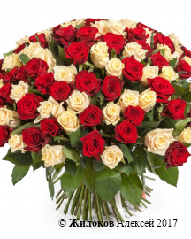 ����� 101 ���� ����