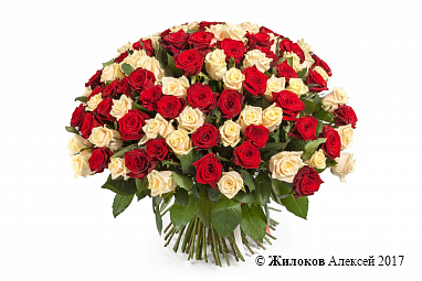 ����� 101 ���� ����