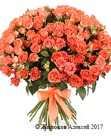 ����� ����������, 50 ���