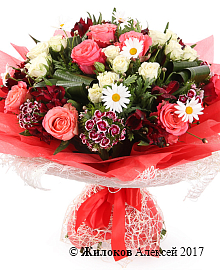 ����� ���������� ����������