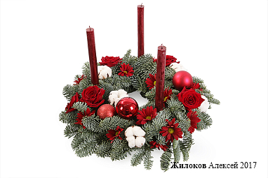 ����� ���� ���������