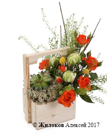 ���������� ������ ����