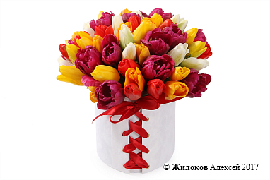 ����� 51 ����������� ������� � �������, �������� ����