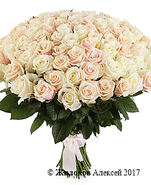 ����� 101 ����, ����� ����