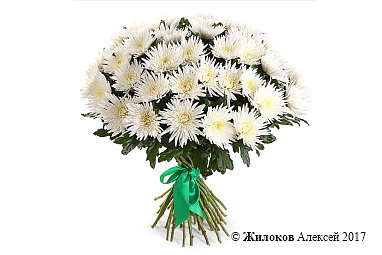 ����� 51 ���������� �����