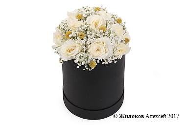 ����� ��������� ��������� ���� � ������� �������