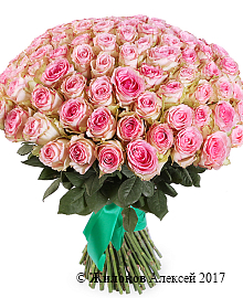 ����� 101 ���� ��������