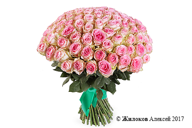 ����� 101 ���� ��������