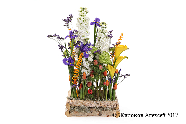 ���������� ������������ �������