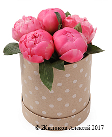 ����� 5 ���������� ������ � ������� �������