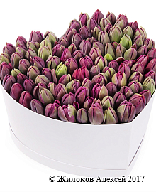 ���������� �������� ����������� � ������� ������� ������ (�����), ����������