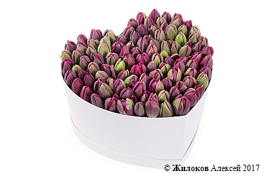 ���������� �������� ����������� � ������� ������� ������ (�����), ����������