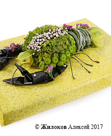 ���������� �� ������ ���