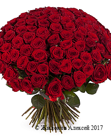 ����� �� 101 ������� ���� 60/70 ��