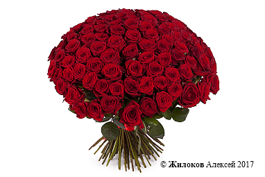 ����� �� 101 ������� ���� 60/70 ��