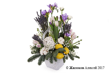 ���������� ������ ������� � �����