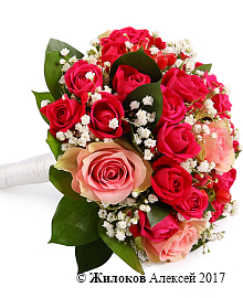 ����� ������� �����