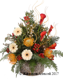 ����� ����� ��������