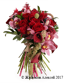 ����� ��������