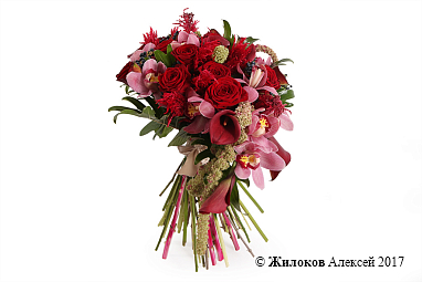 ����� ��������