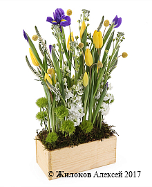 ���������� � �������� ����� � �����