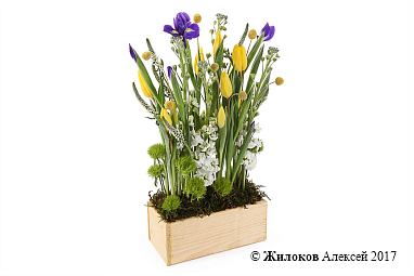 ���������� � �������� ����� � �����