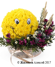 ���������� �������