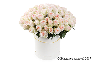 ����� 101 ���� ��������� � ������� �������