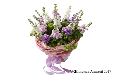 ����� � ��������� �������� ���